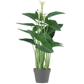 Artificial Calla Lily Plant in Pot