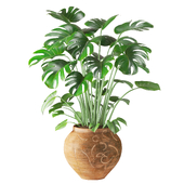 Monstera in Vintage Handmade Carved Pot