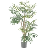Artificial Palm Tree in Reindeer Garden