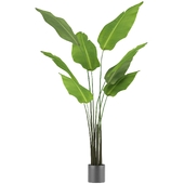 Vickerman Potted Travellers Palm Artificial