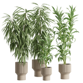 Indoor Plants Pack 87