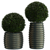 Plant Set 012