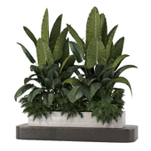 Plants Garden - Backyard set 187