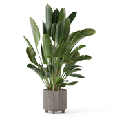 Indoor Plants in Ferm Living Bau Pot Large_Set 3141