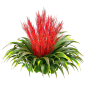 Plant Set 015