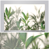 Plant 1256