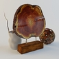 Wood Decor - Декоративный набор - 3D модель