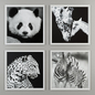 ANIMAL BLACK AND WHITE PHOTOGRAPHY - Багеты - 3D модель