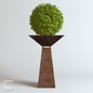 Plant CEDE 02 - Комнатные - 3D модель