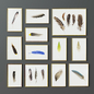 Feathers frames set  - Багеты - 3D модель