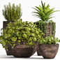 PLANT SET -101 - Уличные - 3D модель