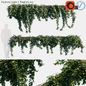 Hedera helix | English ivy creeper - Уличные - 3D модель