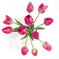 bouquet of tulips букет тюльпанов - Букеты - 3D модель - фото 3