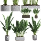 INTERIOR FLOWER PACK 1 - Комнатные - 3D модель