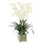 DIANE JAMES Cream Oncidium Orchid Arrangement - Комнатные - 3D модель