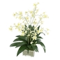 DIANE JAMES Cream Oncidium Orchid Arrangement - Комнатные - 3D модель - фото 2