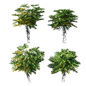 Philodendron Bipinnatifidum tree_monstera 03 - Кусты - 3D модель