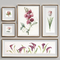 Nice Picture Frames Set 119 - Багеты - 3D модель