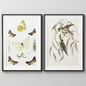 Picture Frames Set -174 - Багеты - 3D модель - фото 4
