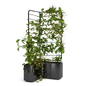 Botanical Planter Screen - Фитостены - 3D модель - фото 2