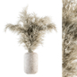 Dry plants 62 - Dried Plant Pampas Bouquet - Букеты - 3D модель