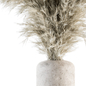 Dry plants 62 - Dried Plant Pampas Bouquet - Букеты - 3D модель - фото 3