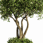 Plant Stant Concrete Leaves - Уличные - 3D модель - фото 4