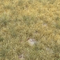 grass for landscape 15 - Трава - 3D модель