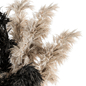 Dry plants 83 - Dried Pampas Black and cream - Букеты - 3D модель - фото 3