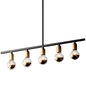 Black And Brass Industrial Five Bulb Bar Light from Hills Interiors - Подвесной - 3D модель - фото 2