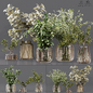 Collaction Indoor Plants 05 - Букеты - 3D модель