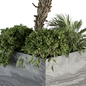 Outdoor Plant Set 303 - Plant Set in Stone Box - Уличные - 3D модель - фото 3