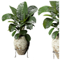Indoor Plants-Elephant fronds - Комнатные - 3D модель