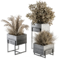 indoor Plant Set 317 - Dried Plant Set in Wood Box - Комнатные - 3D модель