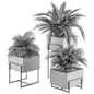 indoor Plant Set 318 - Plant Set in Wood Box - Комнатные - 3D модель - фото 5