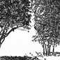4diffrent bush-Dwarf Yaupon Holly Box Spherical Cone Winter - Кусты - 3D модель - фото 4