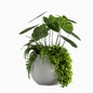 Vase Pack 12 - Комнатные - 3D модель - фото 3