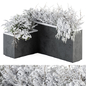 Outdoor Plants in Plant Box Snowy - Set 350 - Уличные - 3D модель