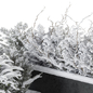 Outdoor Plants in Plant Box Snowy - Set 350 - Уличные - 3D модель - фото 3