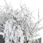 Outdoor Plants in Plant Box Snowy - Set 350 - Уличные - 3D модель - фото 4