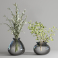 collection Plants Bouquet Indoor glass vase 04 - Букеты - 3D модель - фото 3