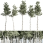 tree vol 02 - Деревья - 3D модель