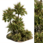 Garden Set Tropical Plants - Outdoor Plants Set 370 - Уличные - 3D модель
