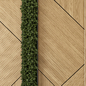 Indoor Wall  Vertical Garden in Wooden Base - Set 524 - Фитостены - 3D модель - фото 4