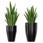 Plant Design 5 - Комнатные - 3D модель