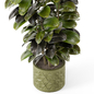 Indoor Plants  in rusty Concrete Pot - Set 845 - Комнатные - 3D модель - фото 3