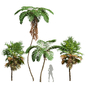 Sphaeropteris Lepifera and Acoelorrhaphe Wrightii - Деревья - 3D модель