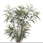 Set of Mahonia Media Plant (Oregon Grape) (2 Plants) - Кусты - 3D модель - фото 2