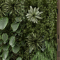 Indoor Wall  Vertical Garden in Wooden Base - Set 972 - Фитостены - 3D модель - фото 4