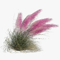 Muhlenbergia Capillaris - Pink Muhly Grass 03 - Кусты - 3D модель - фото 4